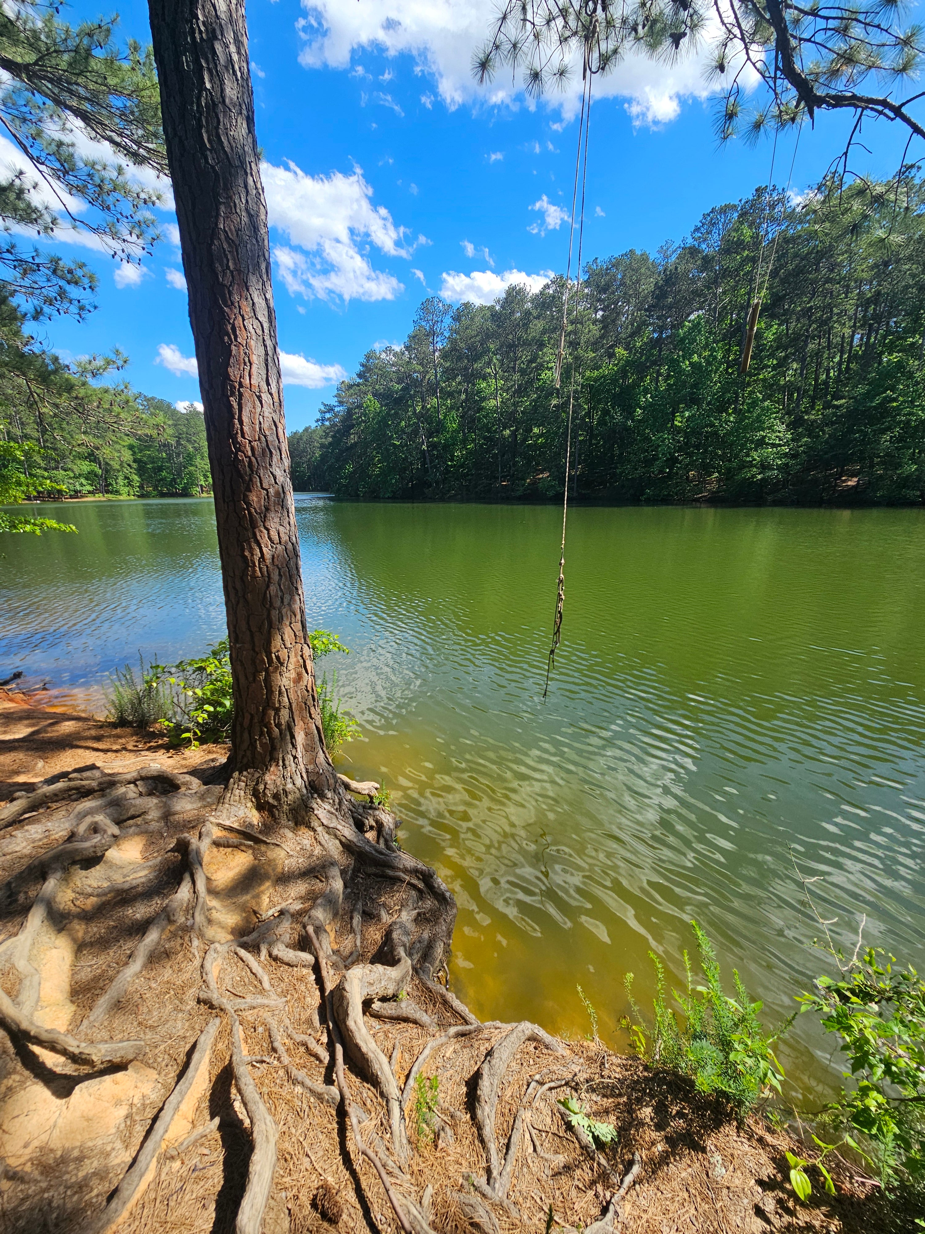 Family Lake Adventure